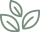 logo-icon-color